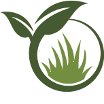 Strive Verbena Planting