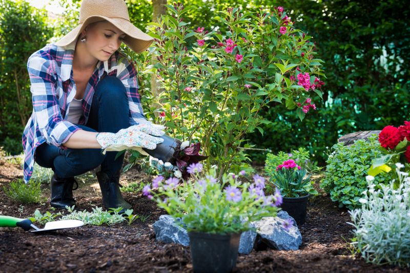 Verbena Planting detail