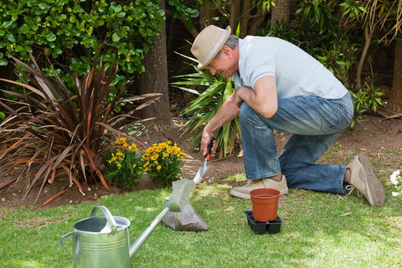 Verbena Planting detail