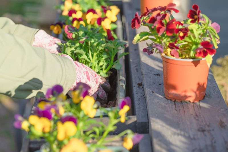 Perennials Planting in Honolulu, HI